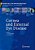 Cornea And External Eye Disease: Corneal Allotransplantation, Allergic Disease And Trachoma-.. - Imagem 1