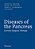 Diseases Of The Pancreas: Current Surgical Therapy-.. - Imagem 1