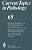 Current Topics In Pathology: Continuation Of Ergebnisse Der Pathologie-.. - Imagem 1