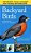 Backyard Birds-.. - Imagem 1