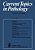 Current Topics In Pathology/Ergebnisse Der Pathologie-.. - Imagem 1