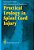 Practical Urology In Spinal Cord Injury-.. - Imagem 1