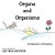 Organs And Organisms: An Explanation Of Everything-.. - Imagem 1