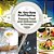 Mr. Goo Goes Food Tripping: Famous Food And Delicacies In Europe-.. - Imagem 1