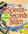 Science In Seconds At The Beach: Exciting Experiments You Can Do In Ten Minutes Or Less-.. - Imagem 1