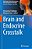 Brain And Endocrine Crosstalk-.. - Imagem 1