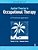 Applied Theories In Occupational Therapy: A Practical Approach-.. - Imagem 1
