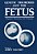 Genetic Disorders And The Fetus: Diagnosis, Prevention, And Treatment-.. - Imagem 1