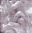 Sexual Ecstasy: The Art Of Orgasm-.. - Imagem 1