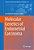 Molecular Genetics Of Endometrial Carcinoma-.. - Imagem 1