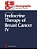 Endocrine Therapy Of Breast Cancer IV-.. - Imagem 1