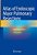 Atlas Of Endoscopic Major Pulmonary Resections-.. - Imagem 1