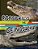Cocodrilo Vs. Deinosuchus (Crocodile Vs Deinosuchus)-.. - Imagem 1