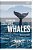Colonialism, Culture, Whales: The Cetacean Quartet-.. - Imagem 1