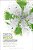 Green Wedge Urbanism: History, Theory And Contemporary Practice-.. - Imagem 1
