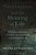 Nothingness And The Meaning Of Life: Philosophical Approaches To Ultimate Meaning Through Nothing And Reflexivity-.. - Imagem 1
