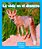 La Vida En El Desierto (Life In A Desert)-.. - Imagem 1