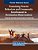 Examining Tourist Behaviors And Community Involvement In Destination Rejuvenation-.. - Imagem 1