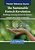 The Sustainable Fintech Revolution: Building A Greener Future For Finance-.. - Imagem 1
