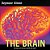 The Brain: All About Our Nervous System And More!-.. - Imagem 1
