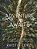 Adventure Awaits: Following God's Direction To Discover Your Dreams-.. - Imagem 1