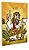 Colorindo o Evangelho Volume II - Livro de Colorir - Imagem 2