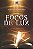 Focos de Luz - Imagem 2