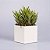 Cachepot Quadrado Pote 11/12  Branco (10 unidades) - Imagem 2