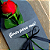 Cartão Para Flores Flores pra Você (10 unidades) - Imagem 3