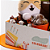 Caixa Display Celebrar (03 unidades) - Imagem 3
