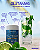 Glutamag - L-Glutamina Alta Pureza 300gm - Imagem 2