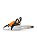 MOTOSSERRA A COMBUSTÃO MS172 35CM - STIHL - Imagem 3