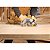 DWE575B2 - SERRA CIRCULAR 7 1/4" (184MM) 1.800W, 5.200 RPM, C/ DISCO WÍDEA 18D, 127V - DEWALT - Imagem 6