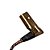 N252400 - ESCOVA CARVAO 220V - DEWALT - Imagem 6