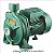 BOMBA   1/2CV - B-10 M FC RT BR VITON 127/220V THEBE - Imagem 1