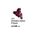 TINTA OLEO 020ML VERMELHO CADMIO PURPURA 373 - Imagem 1