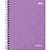 CADERNO COLEGIAL C.DURA 160F/10M 90G LUNIX - Imagem 2