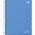 CADERNO COLEGIAL C.DURA 160F/10M 90G LUNIX - Imagem 5