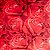 BOBINA PAPEL PRESENTE 60CMX100M ROSA/VERMELHO - Imagem 2
