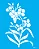 MOLDE VAZADO/ESTENCIL 20X25CM FLOR ERYSIMUM - Imagem 1