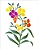 MOLDE VAZADO/ESTENCIL 20X25CM FLOR ERYSIMUM - Imagem 2