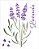MOLDE VAZADO/ESTENCIL 20X25CM FLOR LAVANDA II - Imagem 2