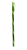 Caneta Bazze Wave 0.7 Verde Fashion - Imagem 1
