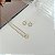 Conjunto circulo cravejado - Imagem 2