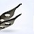 Pinça Adson Microdente com Vídea 12cm - Imagem 2