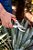 Tesoura de Poda Merax Bypass Pro 15889 - Imagem 2