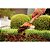 Pazinha Larga Metálica para Jardinagem Tramontina 77907/001 c/ Cabo de Madeira - Imagem 5