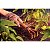 Ancinho Metálico c/ 3 Dentes para Jardinagem Tramontina 77909/001 c/ Cabo de Madeira - Imagem 4