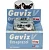Gaviz V 10mg - Blister C/ 10 Comprimidos - Imagem 1