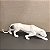 ESCULTURA LEOPARDO POLIRESINA BRANCO - Imagem 3